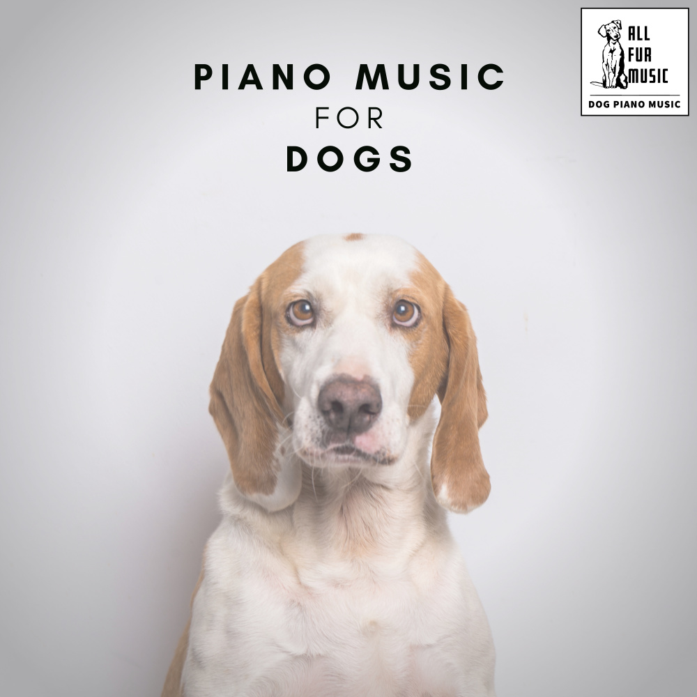 Ambient Piano Solo