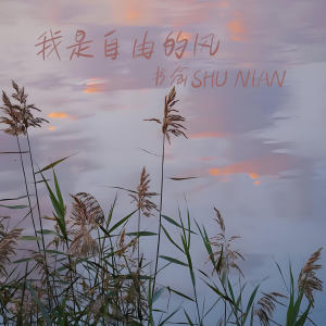 Album 我是自由的风 from 书念