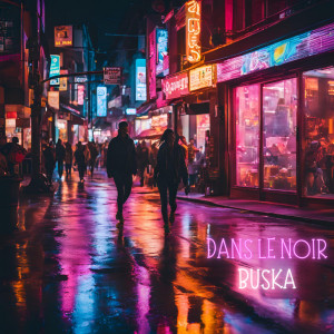 Listen to Dans le noir song with lyrics from Buśka
