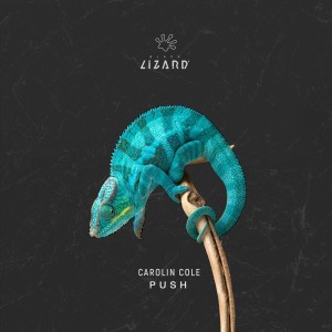 Album Push from Carolin Cole