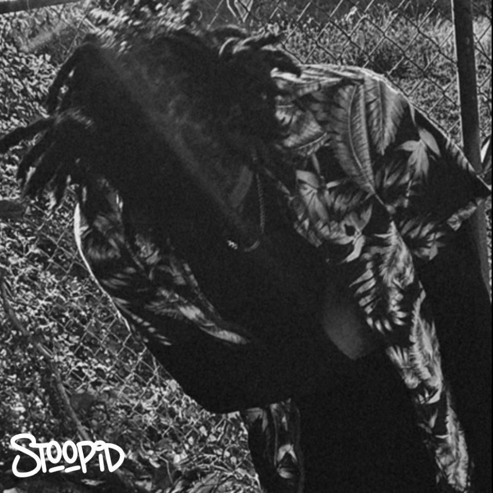 stoopid (Explicit)