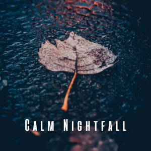 อัลบัม Calm Nightfall: Sleep to Rain on Puddle and Thunder Harmony ศิลปิน Sleeping Noises and Calming Relax Therapy Noise