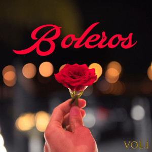 Listen to Volver A Empezar song with lyrics from Ana María González