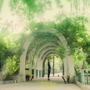 Listen to Games in dream song with lyrics from 木纹