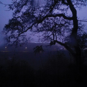 Listen to Let Me Walk Here Between song with lyrics from Smokey Emery