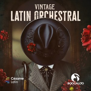Album Vintage Latin Orchestral from Pacho Buscadoro