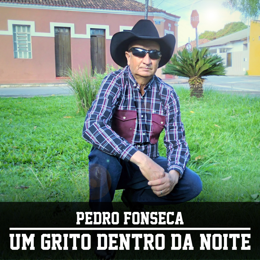 Um Grito Dentro da Noite