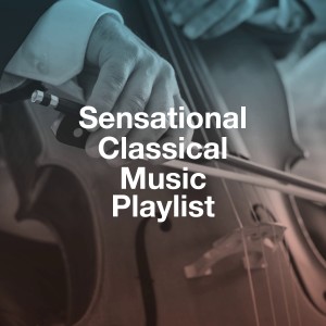 อัลบัม Sensational Classical Music Playlist ศิลปิน Classical Guitar Masters