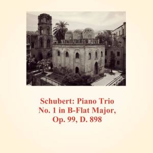 อัลบัม Schubert: Piano Trio No.1 in B-Flat Major, Op. 99, D. 898 ศิลปิน David Oistrakh