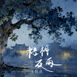 王佳音的专辑梧桐夜雨