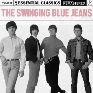 ดาวน์โหลดและฟังเพลง One of These Days พร้อมเนื้อเพลงจาก The Swinging Blue Jeans