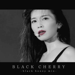 收聽宇野実彩子的BLACK CHERRY -black honey mix- (混音)歌詞歌曲
