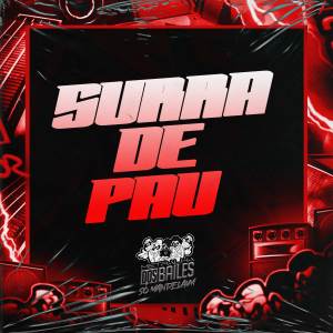 Listen to SURRA DE PAU (Explicit) song with lyrics from MC Fefe Da ZL