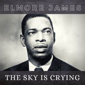 ดาวน์โหลดและฟังเพลง Early One Morning พร้อมเนื้อเพลงจาก Elmore James