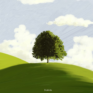 อัลบัม 나무 ศิลปิน kumira