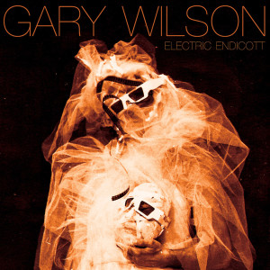 ดาวน์โหลดและฟังเพลง Secret Girl พร้อมเนื้อเพลงจาก Gary Wilson