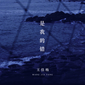 Listen to 是我的错 (伴奏) song with lyrics from 王佳杨
