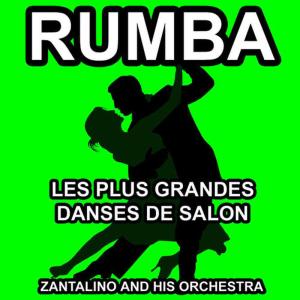 Zantalino and his Orchestra的專輯Rumba Dance - Let's Dance - The Best of Ballroon Dancing and Lounge Music