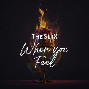 TheSliX的專輯When You feel