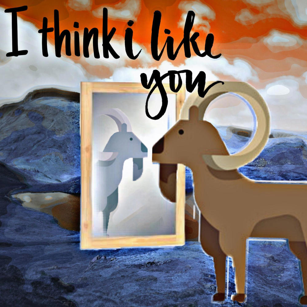 I think i like you (Explicit)