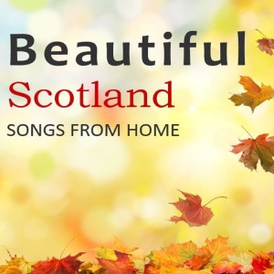 收聽Celtic Spirit的Whisky In the Jar (Home Mix)歌詞歌曲