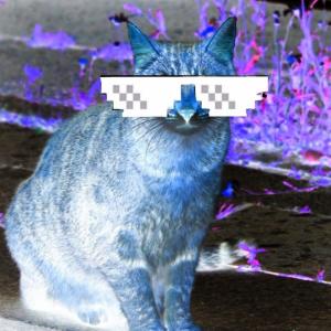 ดาวน์โหลดและฟังเพลง Party?! (Band Monkey Mixx) พร้อมเนื้อเพลงจาก Utility Belt