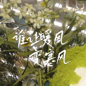 收听六号羊的谁让暖风变寒风歌词歌曲