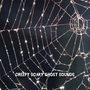 Album Creepy Scary Ghost Sounds oleh Scary Halloween Music