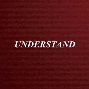 Album Understand (Remix) oleh Dj Micky M