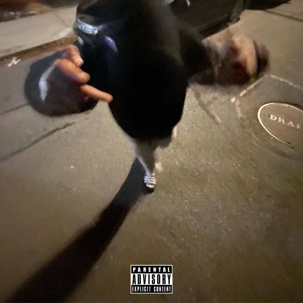 #FREESLICK FREE$tYLE (Explicit)