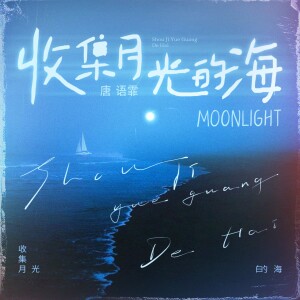 Album 收集月光的海 from 唐语霏