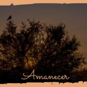收聽Pachuly & Friends的Amanecer歌詞歌曲