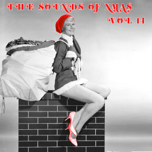 Album The Sounds of Xmas, Vol. 14 from Group Star