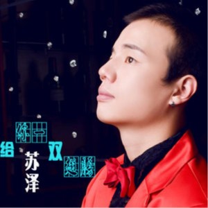 收听苏泽的我不是白领歌词歌曲