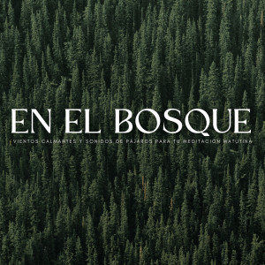 Album En El Bosque: Vientos Calmantes Y Sonidos De Pájaros Para Tu Meditación Matutina from Naturalis