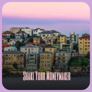 Various Artists的專輯Shake Your Moneymaker