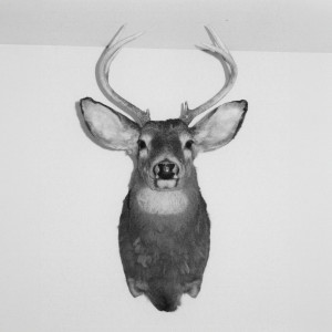 收聽dj gummy bear的prada (Explicit)歌詞歌曲