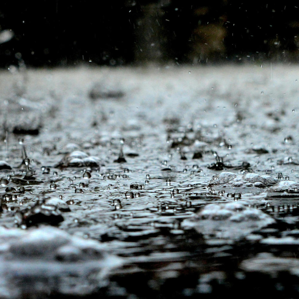 Rain