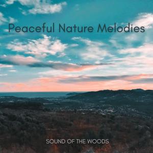 Peaceful Nature Melodies