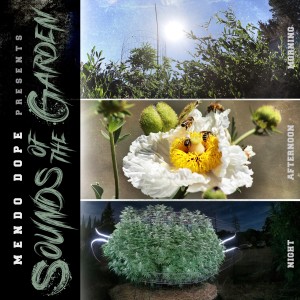 Sounds of the Garden - Night
