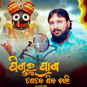 Listen to Pindaru Prana Jebe Jiba Chali song with lyrics from Sujit Bhoi