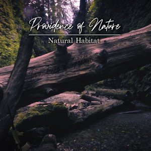 收聽Natural Habitat的Providence of Nature歌詞歌曲