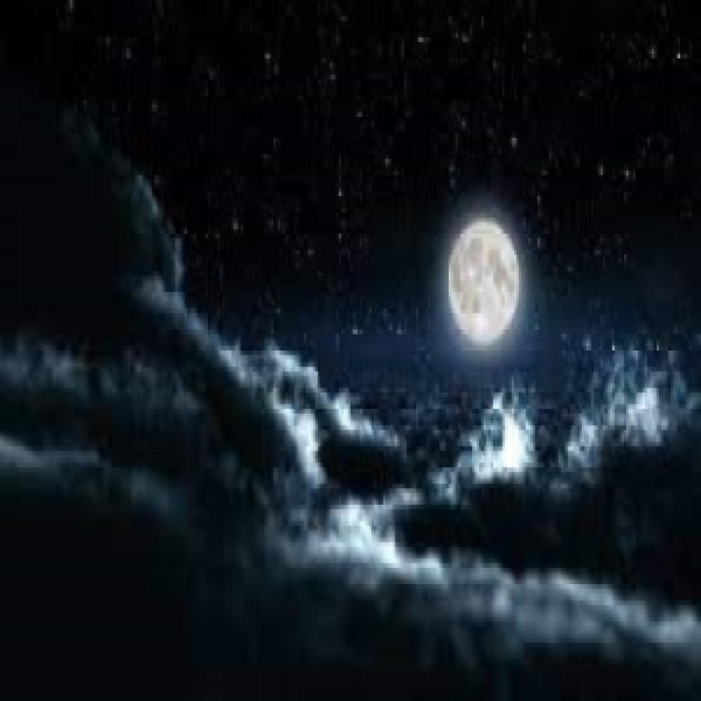 In The Night (Radio Edit) (Explicit) (Radio Edit|Explicit)