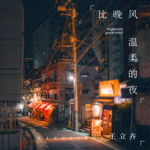 Listen to 比晚风温柔的夜 song with lyrics from 王立卉