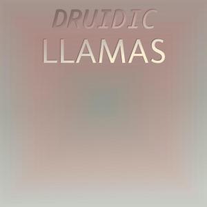 Various的专辑Druidic Llamas