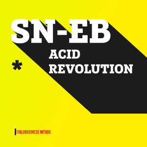 อัลบัม Acid Revolution ศิลปิน SN-EB