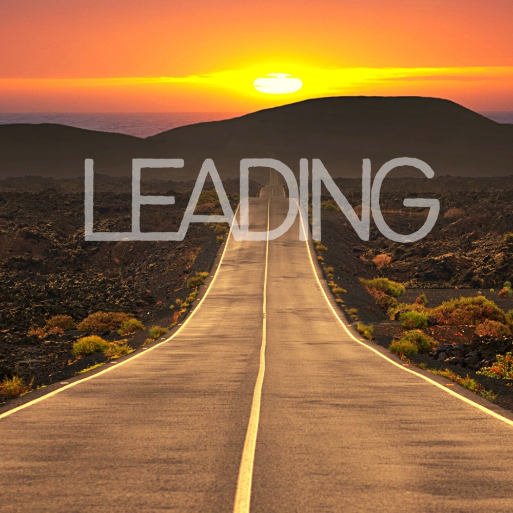 Leading (feat. Peu Mendes)