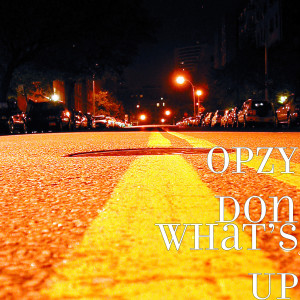 Listen to What’s Up song with lyrics from Opzy Don