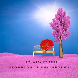 Dynasty的专辑Ntombi ya le Phalaborwa