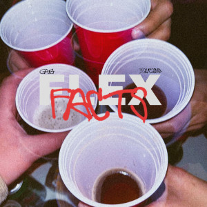 GAB的專輯Flexfact (Explicit)